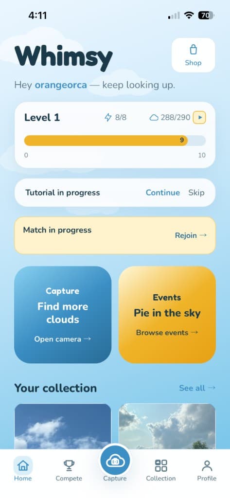 Whimsy Cloud home — level progress, capture, and your collection